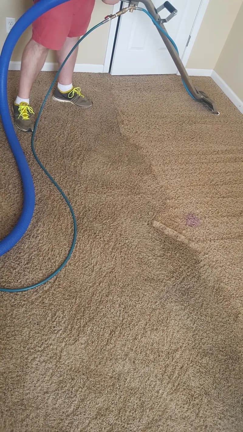 Carpet being cleaned with a wand, showing a clear line between the cleaned and uncleaned areas